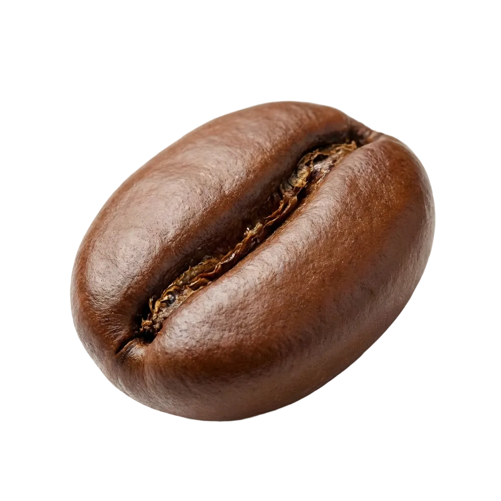 Roasted coffee bean on a white background